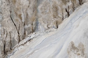 Forêt-enneigée